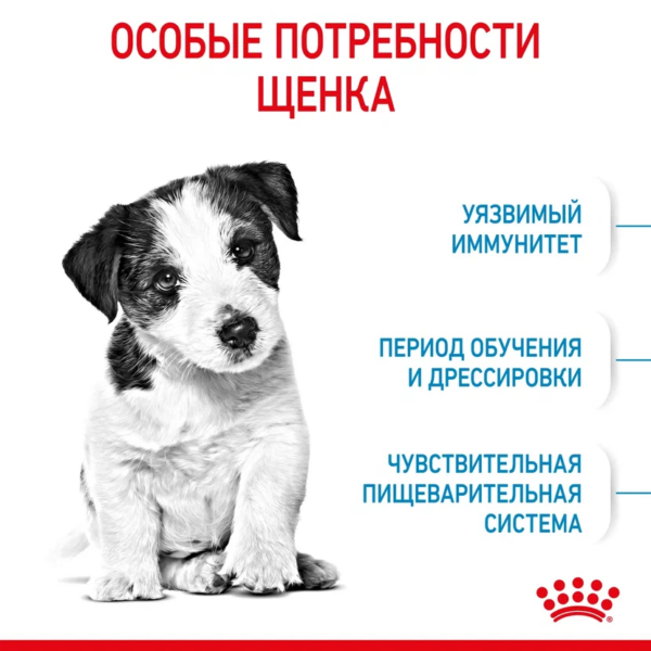 Royal Canin Mini Puppy сухой корм для щенков собак мелких размеров с 2 до 10 месяцев — изображение 5