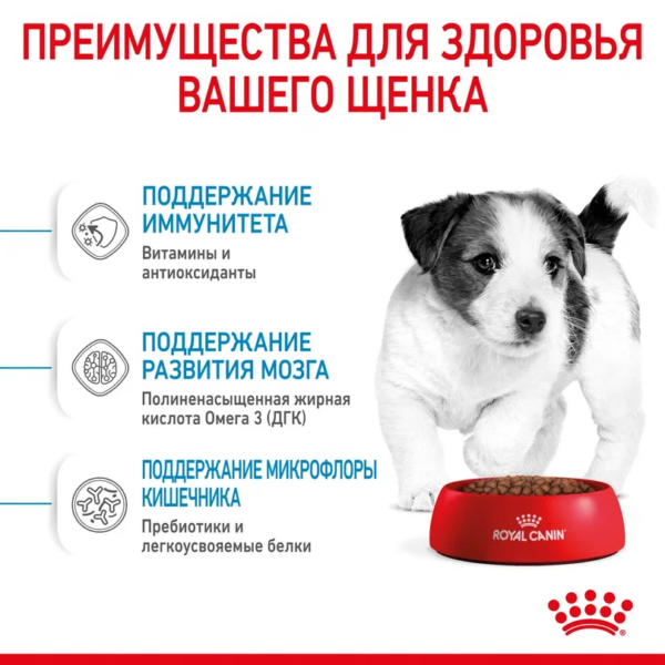 Royal Canin Mini Puppy сухой корм для щенков собак мелких размеров с 2 до 10 месяцев — изображение 4