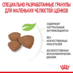 Royal Canin Mini Puppy сухой корм для щенков собак мелких размеров с 2 до 10 месяцев — изображение 6