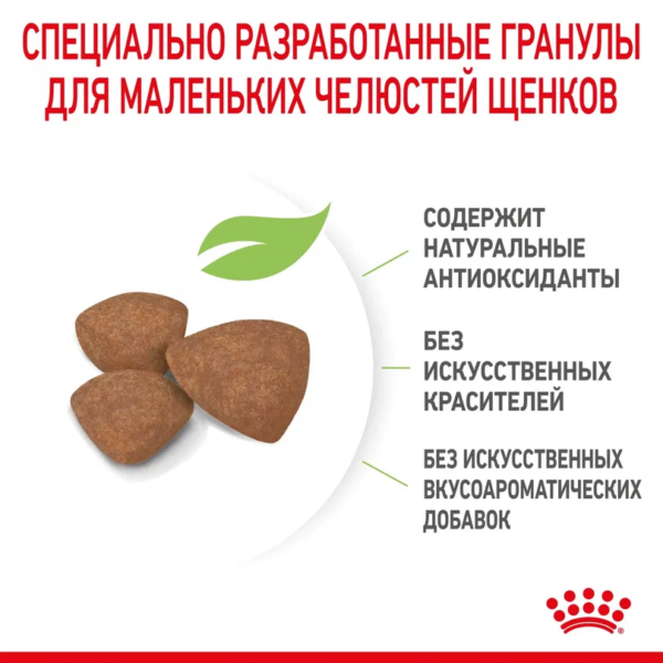 Royal Canin Mini Puppy сухой корм для щенков собак мелких размеров с 2 до 10 месяцев — изображение 6