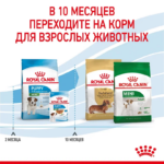 Royal Canin Mini Puppy сухой корм для щенков собак мелких размеров с 2 до 10 месяцев — изображение 3