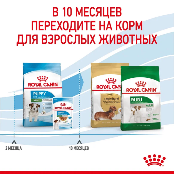 Royal Canin Mini Puppy сухой корм для щенков собак мелких размеров с 2 до 10 месяцев — изображение 3