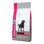 Eukanuba Breed Specific сухой корм для собак породы лабрадор ретривер