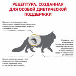 Royal Canin Urinary S/O LP Feline Корм сухой диетический для взрослых кошек при мочекаменной болезни — изображение 3