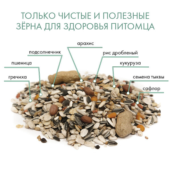 FIORY корм для крупных попугаев Pappagalli — изображение 6