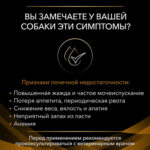 Purina ProPlan Vet Diets Canine NF сухой корм для собак для диетической коррекции почечной недостаточности — изображение 6