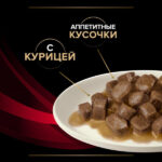 Pro Plan Veterinary Diets DM Влажный корм для кошек при диабете с курицей — изображение 2
