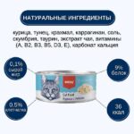 Wanpy Cat Консервы для кошек "Курица с тунцом" — изображение 4