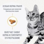 Royal Canin Bengal сухой корм для взрослых бенгальских кошек — изображение 2