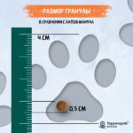 Территория Кавказ Сухой Корм для котят Индейка Брусника — изображение 4
