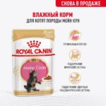 Royal Canin Maine Coon Kitten влажный корм для котят породы мейн-кун до 15 месяцев — изображение 2