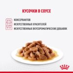 Royal Canin Maine Coon Kitten влажный корм для котят породы мейн-кун до 15 месяцев — изображение 4