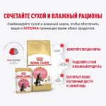 Royal Canin Maine Coon Kitten влажный корм для котят породы мейн-кун до 15 месяцев — изображение 5