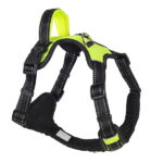 Ecopet Sport шлейка нейлоновая с ручкой, размер L (обхват груди 65-80 см)
