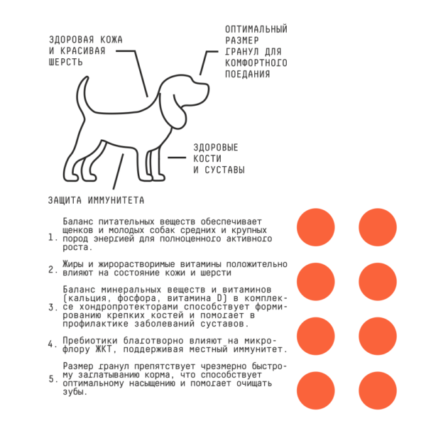 AJO Dog PUPPY & JUNIOR Сухой полнорационный корм с гречкой для щенков и молодых собак средних и крупных пород — изображение 4
