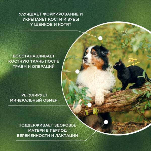 ProPhyto Osteoplus кормовая добавка для собак и кошек для здоровья зубов и костей 40 таблеток — изображение 2