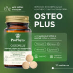 ProPhyto Osteoplus кормовая добавка для собак и кошек для здоровья зубов и костей 40 таблеток — изображение 4