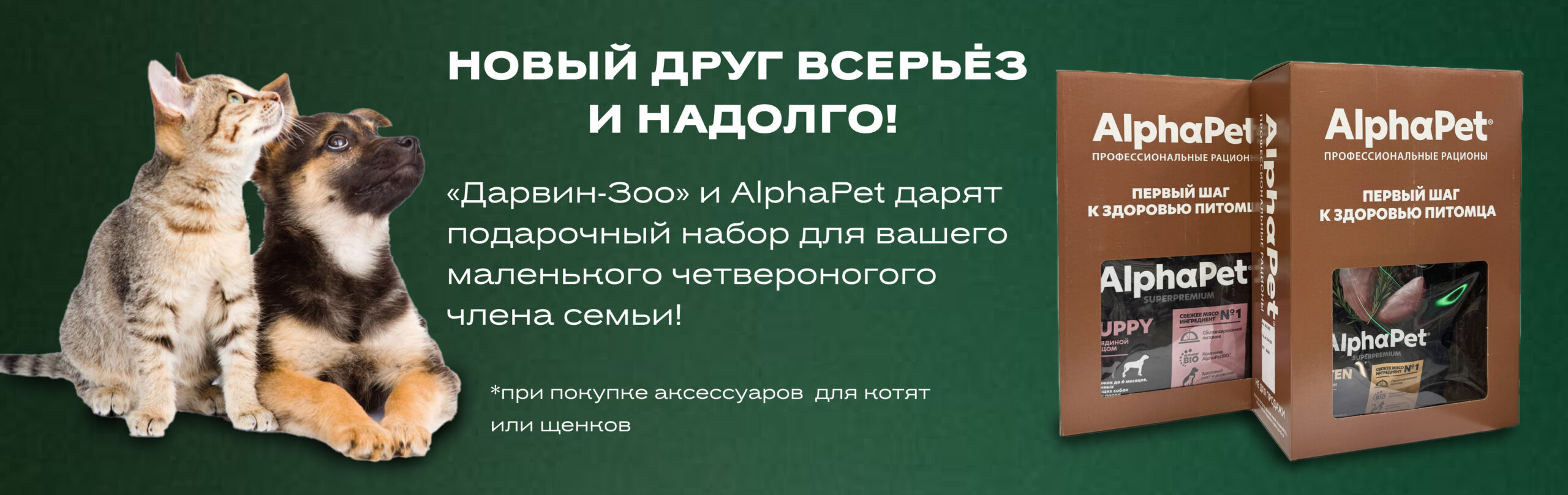 банер